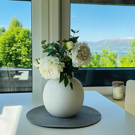 公寓 With A View - South 特罗姆瑟