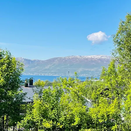 With A View - South