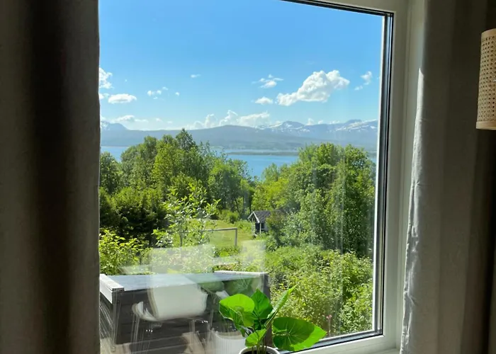 With A View - South