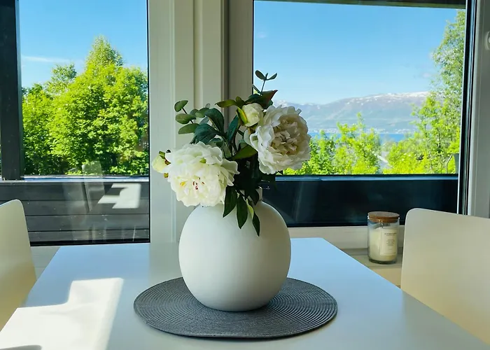 公寓 With A View - South 特罗姆瑟