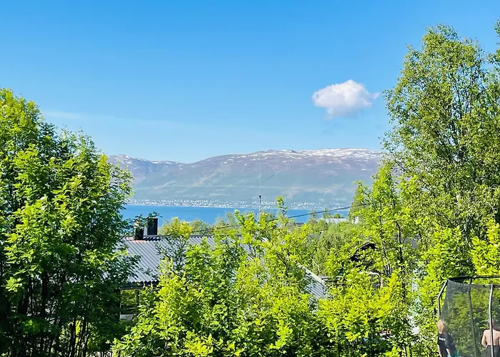 With A View - South